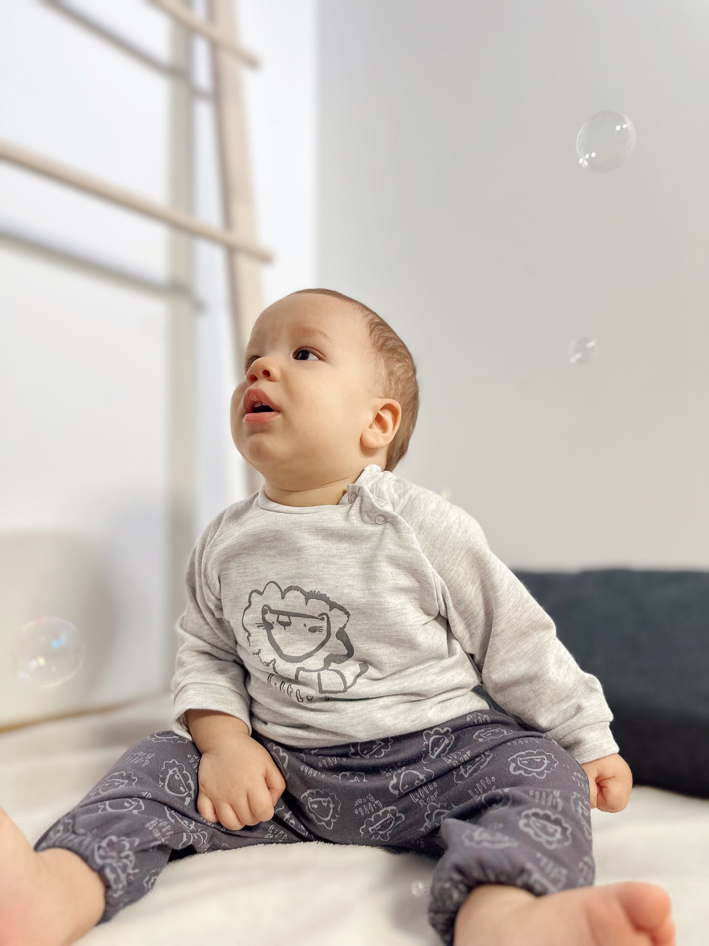 DVODELNI KOMPLET ROAR