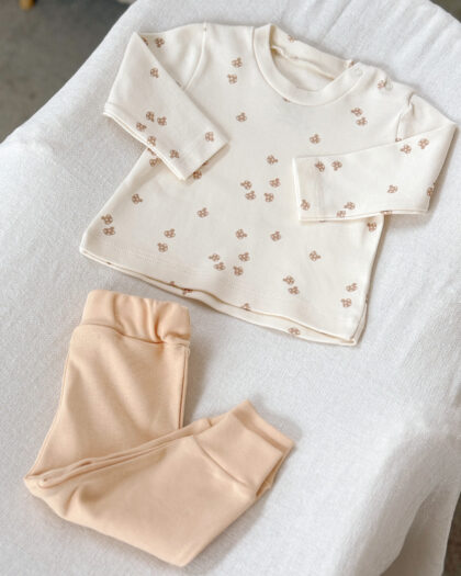 DVODELNI KOMPLET NA PEČURKE